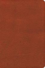CSB Study Bible, Personal Size, Digital Study Edition, Burnt Sienna Leathertouch