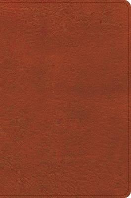 CSB Study Bible, Personal Size, Digital Study Edition, Burnt Sienna Leathertouch - Csb Bibles by Holman - cover