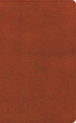 CSB Single-Column Personal Size Reference Bible, Burnt Sienna Leathertouch - Csb Bibles by Holman - cover