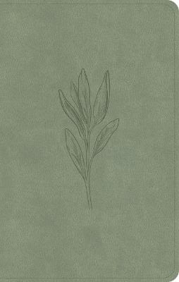 CSB Personal Size Bible, Sage Suedesoft Leathertouch - Csb Bibles by Holman - cover
