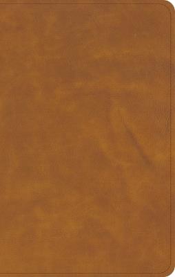 CSB Personal Size Bible, Saddle Leathertouch - Csb Bibles by Holman - cover