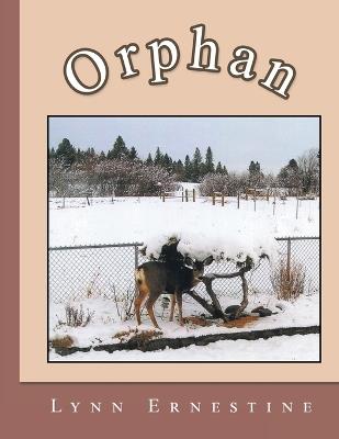 Orphan - Lynn Ernestine - cover