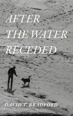 After the Water Receded - David T Bradford - cover