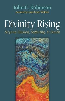 Divinity Rising: Beyond Illusion, Suffering, and Death - John C Robinson - cover