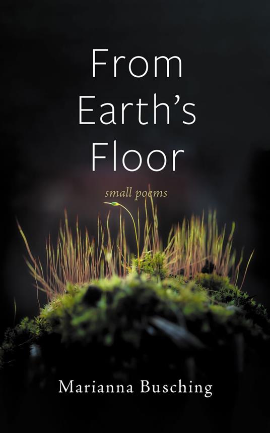 From Earth’s Floor