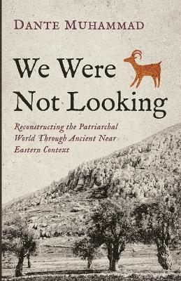 We Were Not Looking: Reconstructing the Patriarchal World Through Ancient Near Eastern Context - Dante Muhammad - cover