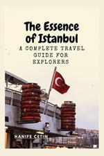 The Essence of Istanbul: A Complete travel Guide for Explorers