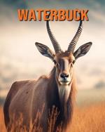 Waterbuck: Fun Facts Book for Kids with Amazing Photos