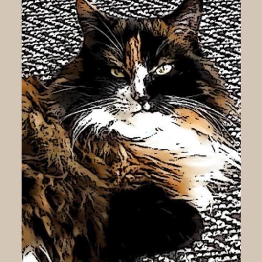 The Adventures of Tigera Cat: The Clan