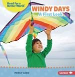 Windy Days: A First Look