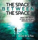 The Space Between the Space: Forensic image analysis of energy and non-World dimensional beings