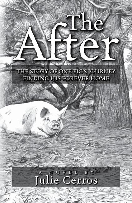The After - Julie Cerros - ebook