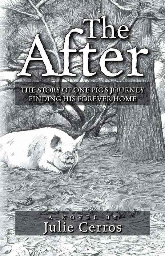 The After - Julie Cerros - ebook