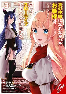 Rejected by the Hero's Party, a Princess Decided to Live a Quiet Life in the Countryside, Vol. 3 - Dale DeLucia,DK,Mutsuki Higashioji - cover