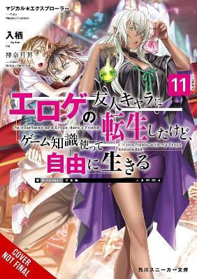 Magical Explorer, Vol. 11 (light novel): Reborn as a Side Character in a Fantasy Dating Sim - David Musto,Iris Iris,Noboru Kannatuki - cover