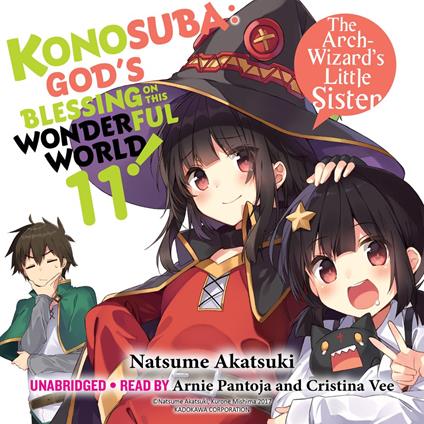 Konosuba: God's Blessing on This Wonderful World!, Vol. 11 (light novel)