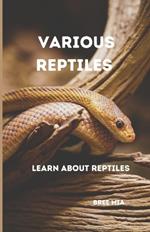 Various Reptiles: Learn about reptiles
