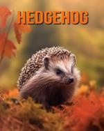 Hedgehog: Amazing Photos and Fun Facts Book for kids