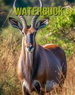 Waterbuck: Fun and Educational Book for Kids with Amazing Facts and Pictures
