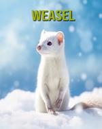 Weasel: Fun and Educational Book for Kids with Amazing Facts and Pictures