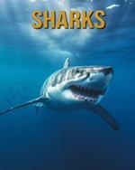 Sharks: Amazing Photos and Fun Facts Book