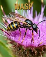 Wasp: Amazing Photos and Fun Facts Book