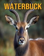 Waterbuck: Fun Facts Book for Kids
