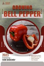 Bell Pepper: Guide and overview