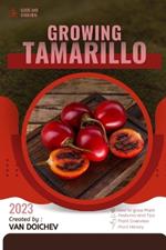 Tamarillo: Guide and overview