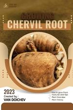 Chervil Root: Guide and overview