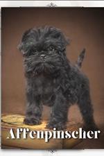 Affenpinscher: Dog breed overview and guide