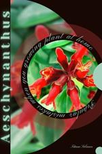 Aeschynanthus: Popular mistakes when you growing PLANT at home