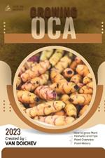 Oca: Guide and overview