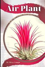 Air Plant: Why my Plant not grow? problems and their solutions