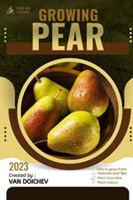 Pear: Guide and overview