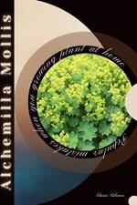 Alchemilla Mollis: Popular mistakes when you growing PLANT at home