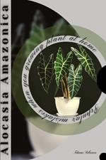 Alocasia Amazonica: Popular mistakes when you growing PLANT at home