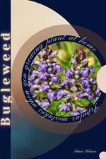 Bugleweed: Popular mistakes when you growing PLANT at home