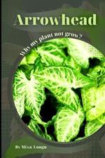 Arrowhead: Why my Plant not grow? problems and their solutions
