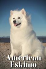 American Eskimo: How to train your dog and raise from puppy correctly