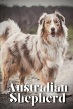 Australian Shepherd: How to train your dog and raise from puppy correctly