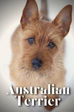 Australian Terrier: How to train your dog and raise from puppy correctly