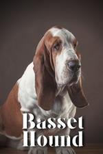 Basset Hound: How to train your dog and raise from puppy correctly