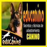 EDUCANINO, Secretos y técnicas de adiestramiento canino