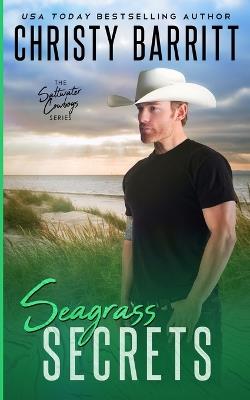Seagrass Secrets - Christy Barritt - cover