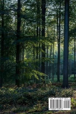 Broken Soul - Worner - cover