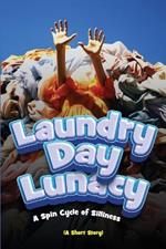 Laundry Day Lunacy (A Short Story): A Spin Cycle of Silliness