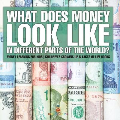 What Does Money Look Like In Different Parts of the World? - Money Learning for Kids Children's Growing Up & Facts of Life Books - Baby Professor - cover