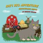 Kai's Big Adventure: Discovering Shapes