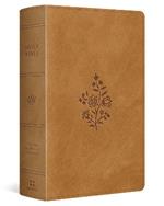 ESV Large Print Personal Size Bible, Red Letter